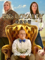 猪王争霸赛（求索频道）