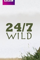 全天候野生动物追踪